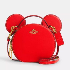 🐭 Disney X Coach Mickey Mouse Ear Bag
